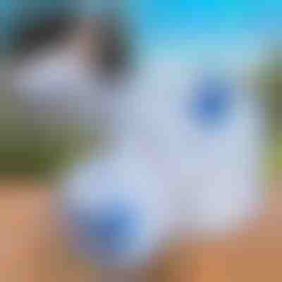 Składany zbiornik na wodę (10L) | AQUATANK