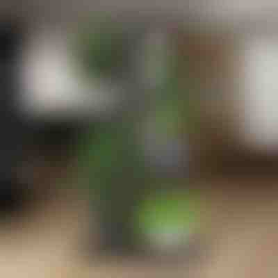 Stojak na Doniczki | POTSTAGE