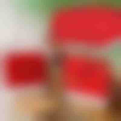 Świąteczne pokrowce na krzesła do jadalni (4 sztuki) | SANTASEAT