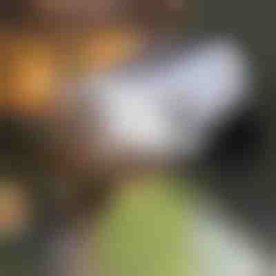 Światło solarne z czujnikiem ruchu | LUMACAM