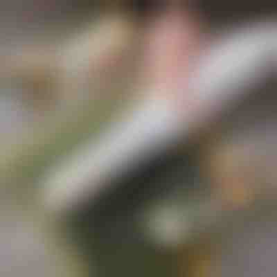 Łatwy domowy wałek do sushi | SUSHROLIO